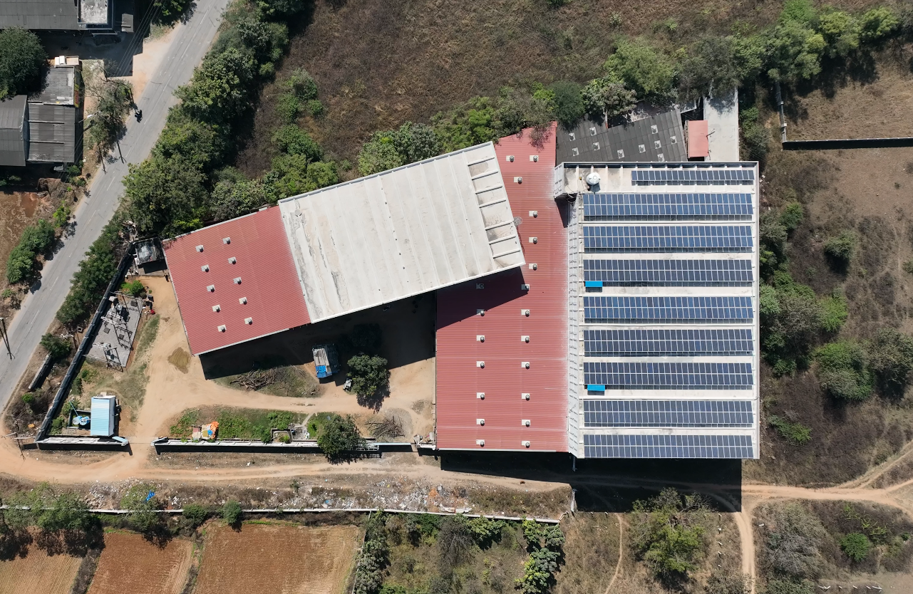 15,000 Metric Tonnes Capacity Cold Storage